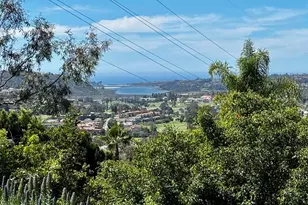 3251 Piragua St, Carlsbad, CA 92009 - Photo 27