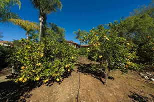 14790 Hidden Trail Way, Jamul, CA 91935 - Photo 23