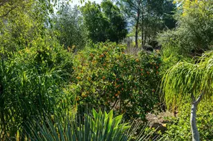 14790 Hidden Trail Way, Jamul, CA 91935 - Photo 25