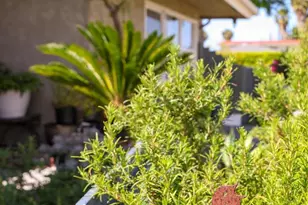 6145 Carling Way, San Diego, CA 92115 - Photo 65