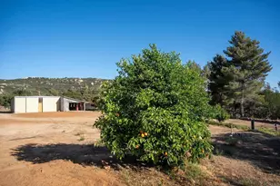 22170 Japatul Valley Rd, Alpine, CA 91901 - Photo 53