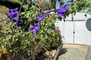 444 N El Camino Real Street, Encinitas, CA 92024 - Photo 11