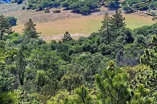 2341 Pinezanita Ln, Julian, CA 92036 - Photo 13