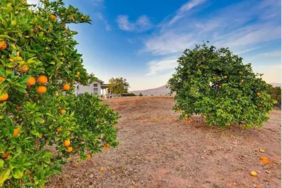974 Bremen Way, Alpine, CA 91901 - Photo 63