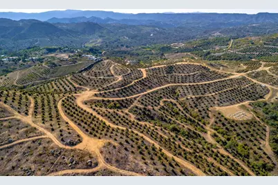 45000 Rancho Fallbrook Road, Temecula, CA 92590 - Photo 3