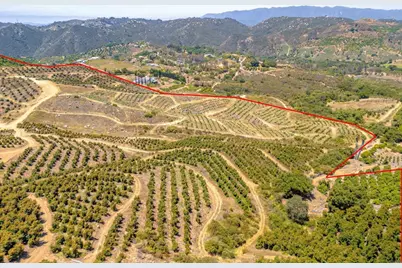 45000 Rancho Fallbrook Road, Temecula, CA 92590 - Photo 25
