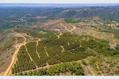 45000 Rancho Fallbrook Road, Temecula, CA 92590 - Photo 15