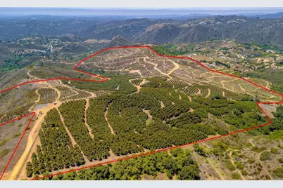 45000 Rancho Fallbrook Road, Temecula, CA 92590 - Photo 15