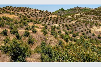 45000 Rancho Fallbrook Road, Temecula, CA 92590 - Photo 31