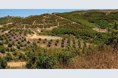 45000 Rancho Fallbrook Road, Temecula, CA 92590 - Photo 29