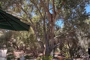 524 Rosvall Dr Dr, Fallbrook, CA 92028 - Photo 27
