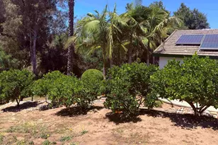 524 Rosvall Dr Dr, Fallbrook, CA 92028 - Photo 19