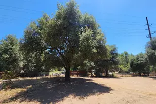 27544 Old Hwy 80, Descanso, CA 91916 - Photo 5