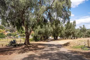 450 Summerhill Ct, Alpine, CA 91901 - Photo 73