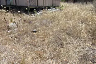1354 Round Potrero Rd, Potrero, CA 91963 - Photo 15