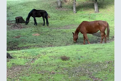 16108 16110 Old Guejito Grade Rd Road, Escondido, CA 92027 - Photo 63