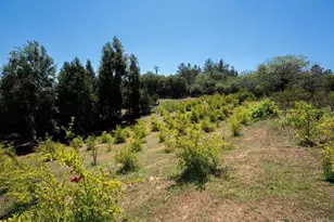 1315 Farmer Rd, Julian, CA 92036 - Photo 47