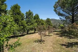 1315 Farmer Rd, Julian, CA 92036 - Photo 69