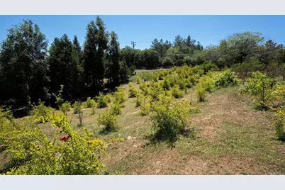 1315 Farmer Rd, Julian, CA 92036 - Photo 47