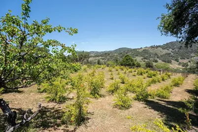 1315 Farmer Rd, Julian, CA 92036 - Photo 59