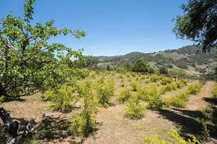 1315 Farmer Rd, Julian, CA 92036 - Photo 59