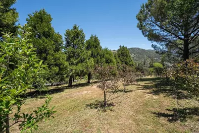 1315 Farmer Rd, Julian, CA 92036 - Photo 69