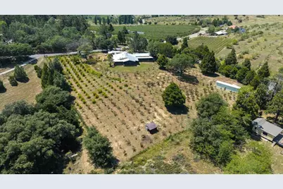 1315 Farmer Rd, Julian, CA 92036 - Photo 49