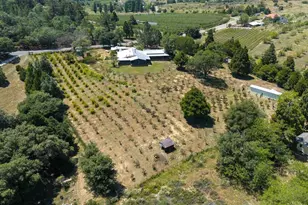 1315 Farmer Rd, Julian, CA 92036 - Photo 49