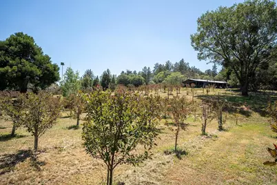 1315 Farmer Rd, Julian, CA 92036 - Photo 55