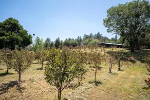 1315 Farmer Rd, Julian, CA 92036 - Photo 55
