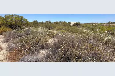 558 Derby Way, Aguanga, CA 92536 - Photo 5