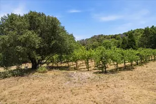6911 Engineers Rd, Julian, CA 92036 - Photo 37
