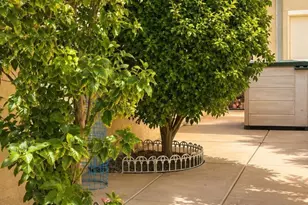81391 Avenida Madrid, Indio, CA 92203 - Photo 35