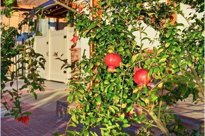 455 Nickman, Chula Vista, CA 91911 - Photo 63
