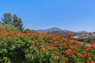 3629 Avocado Village Ct, La Mesa, CA 91941 - Photo 33