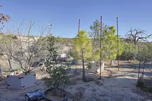38383 Old Hwy 80, Boulevard, CA 91905 - Photo 45