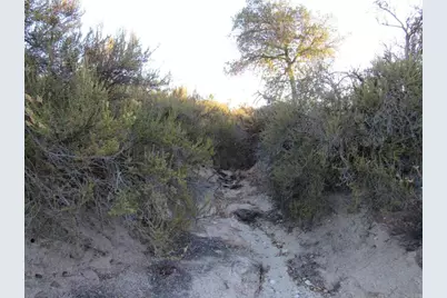 109 .57 Acres Highway 94, Boulevard, CA 91905 - Photo 5