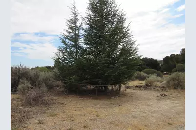 1819 Buckman Springs Road, Campo, CA 91906 - Photo 11