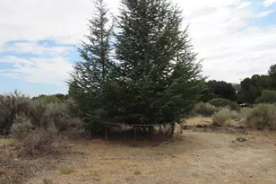 1819 Buckman Spgs Rd, Campo, CA 91906 - Photo 11