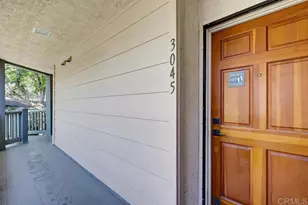 3045 Blue Oak Ct, Spring Valley, CA 91978 - Photo 49