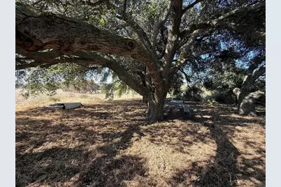  Harris Ranch Rd, Potrero, CA 91963 - Photo 9