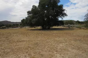 33530 Hwy 94, Campo, CA 91906 - Photo 3