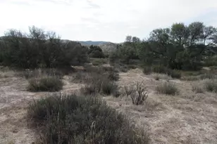 33530 Hwy 94, Campo, CA 91906 - Photo 13