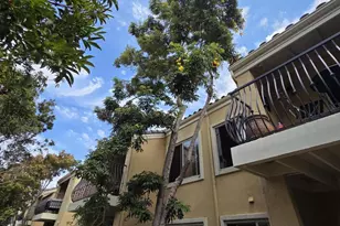 3151 Via Alicante, La Jolla, CA 92037 - Photo 7