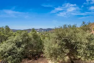 9421 Elm Dr, Descanso, CA 91916 - Photo 43