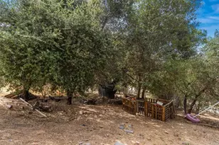 9421 Elm Dr, Descanso, CA 91916 - Photo 35
