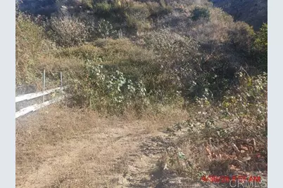 13912 N Mesa Alta Road, Kagel Canyon, CA 91342 - Photo 11