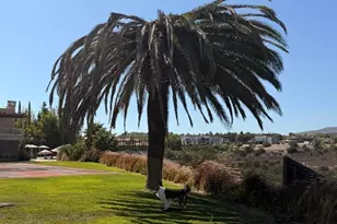 2925 Gate Five Pl, Chula Vista, CA 91914 - Photo 15