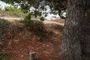 977 Cuyamaca Ave, Chula Vista, CA 91911 - Photo 49