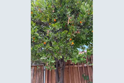 1920 Via Encantadoras, San Ysidro, CA 92173 - Photo 27